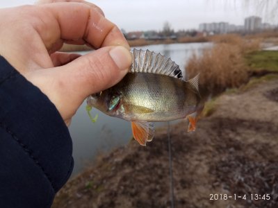 IMG_20180104_134510.jpg