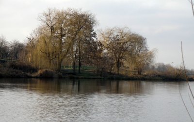 P1050093.JPG