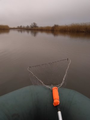 IMG_20180105_104732.jpg