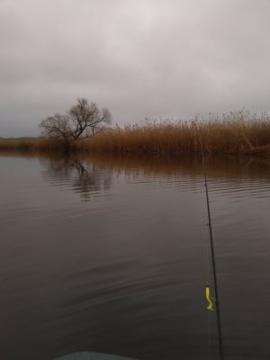 IMG_20180105_134624.jpg