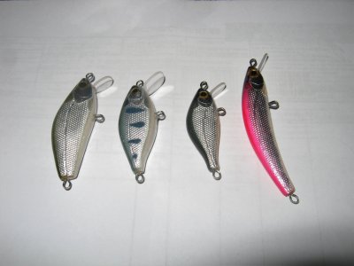 IMG_9884.JPG