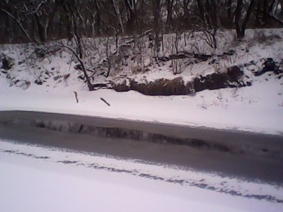 IMG0993A.jpg