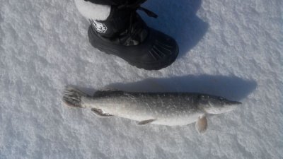 IMG-808e6bfcd46da2bd9b0e0756bc5393f5-V.jpg
