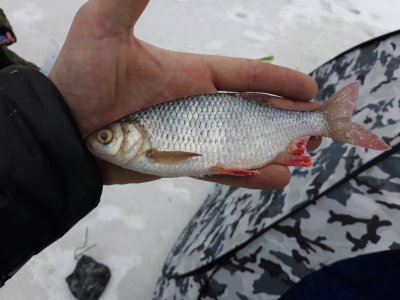 20180125_080320.jpg