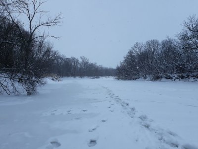20180125_085454.jpg