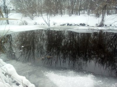 IMG_20180128_123337.jpg