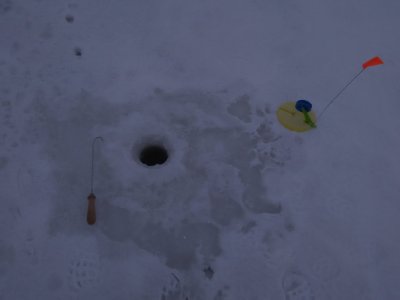 IMG_20180128_093758.jpg