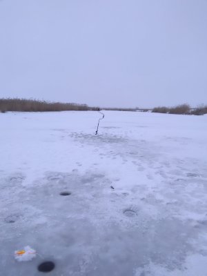IMG_20180128_130830.jpg