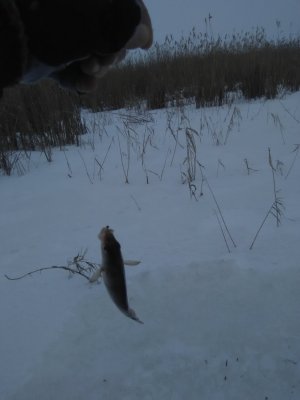IMG_20180128_094529.jpg
