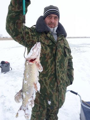 20180129_145046.jpg