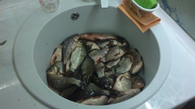 IMG_20180130_183838.jpg