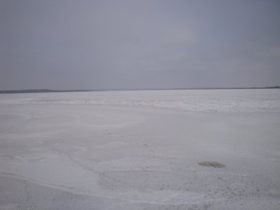 DSC03435.JPG