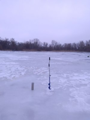 IMG_20180202_090402.jpg