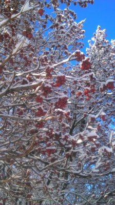DSC_0002_1.JPG