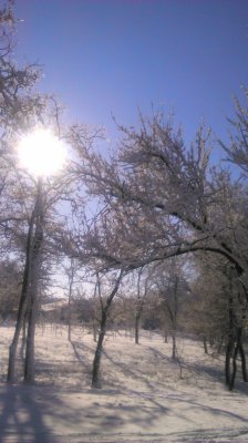 DSC_0006_1.JPG
