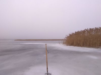IMG_20180211_103447.jpg