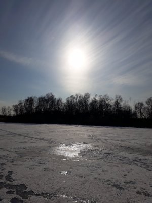 20180224_143126.jpg
