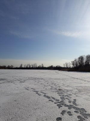 20180224_143130.jpg