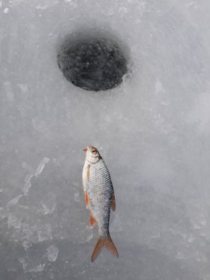 20180224_104107.jpg