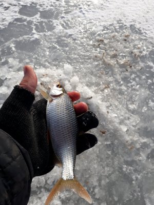 20180224_141451.jpg