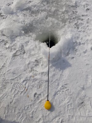 20180224_114419.jpg