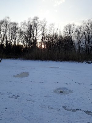 20180224_163504.jpg