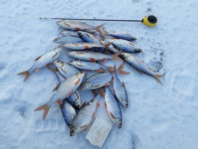 20180224_163348.jpg