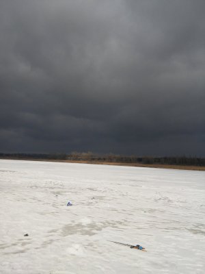 20180220_121010.jpg