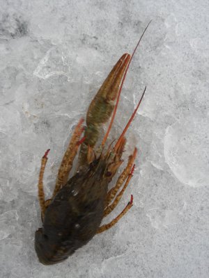 20180220_150357.jpg