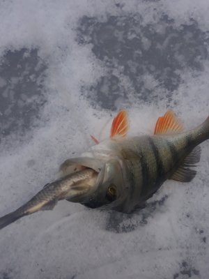 20180227_091913.jpg