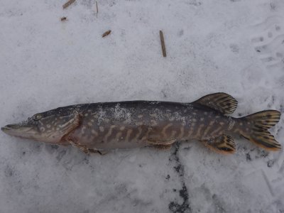 20180227_134101.jpg