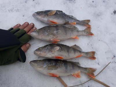 20180227_134123.jpg
