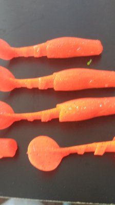 IMG_20180304_142140.jpg