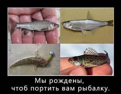 043NlDEBHh0.jpg