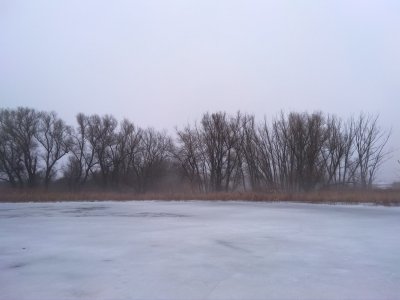 IMG_20180315_084650.jpg