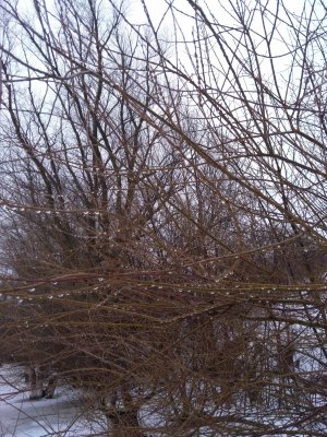 IMG_20180315_101418.jpg