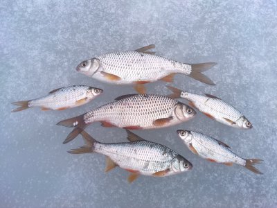 IMG_20180315_131009.jpg