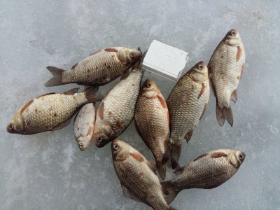 20180316_140437[1].jpg