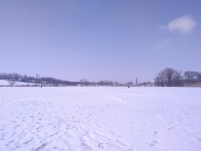 IMG_20180325_133642.jpg