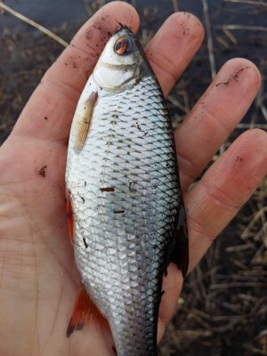 20180401_172541[1].jpg