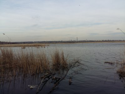 20180401_173737[1].jpg