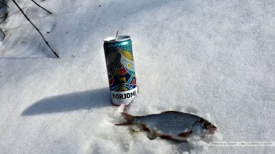 Плотва на снегу.jpg