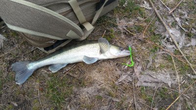 IMG_20180402_134457.jpg