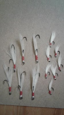 20180403_203916.jpg