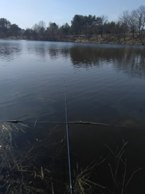 IMG_20180405_154038.jpg