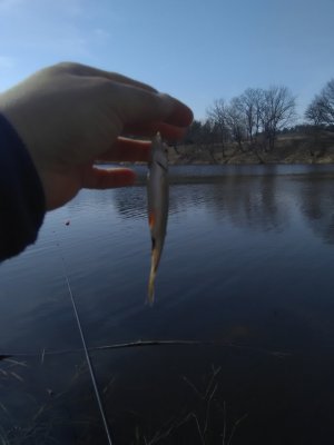 IMG_20180405_154424.jpg