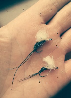 IMG_20180402_121954_399.jpg
