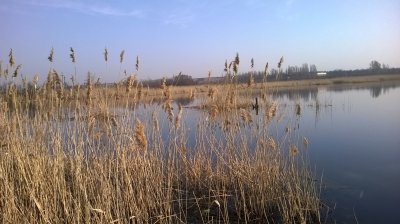 WP_20180407_008.jpg