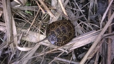 WP_20180407_009.jpg