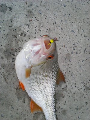 Photo0201.jpg